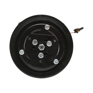 Compresor clima A/C pentru Deutz-Fahr cod OEM 04411400, 04437338, 1324240 Breckner Germany - Img 5