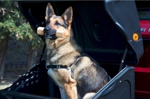 Cutie portbagaj pe carligul de remorcare Towbox V1 DOG Gri - Img 2