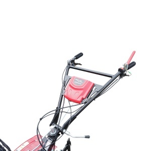 Motocultor 7.5CP cu freza 100cm, plug, rarita, motor benzina 4 timpi 212cc OHV, viteze 2+1, transmisie pinioane, roti 4.00-8 Breckner Germany - Img 10