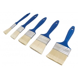 Set 5 pensule pentru vopsitorie si lacuire