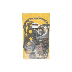Set garnituri motor pentru John Deere cod OEM RE501578, AR79921, AR97187, AR97190, AT28425, RE16912, RE37492, RE38853 - Img 2