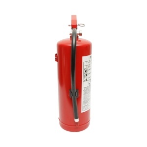 Stingator auto cu pulbere ABC 6kg P6 - Img 6