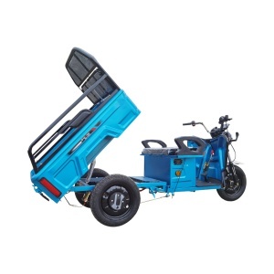 Triciclu electric BRECKNER GERMANY MODEL E 1600W 60V 20AH OMOLOGABIL - Img 4