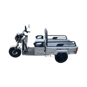Triciclu electric BRECKNER GERMANY MODEL E ARGINTIU 1600W 60V 20AH - Img 3