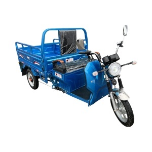 Triciclu electric Thor STAR cu CIV 1200W 60V45Ah OMOLOGABIL - Img 6