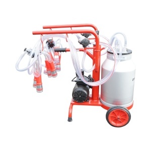 Aparat de muls vaci 2 posturi bidon 40L aluminiu cu vid in cadru(vacuum) Breckner Germany - Img 2