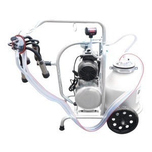 Aparat de muls vaci cu grup colector 160cc, sasiu galvanizat, bidon aluminiu 30L, 1 post Breckner Germany - Img 2