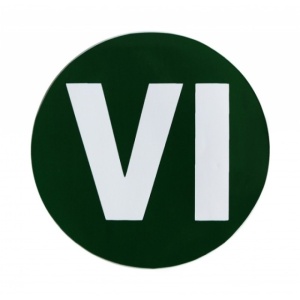 Autocolant „EURO VI” 10 cm