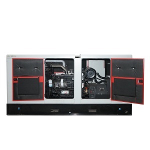 Generator electric trifazat 225KVA, 230/400V cu motor diesel Ricardo R6110ZLDS-176KW - Img 3