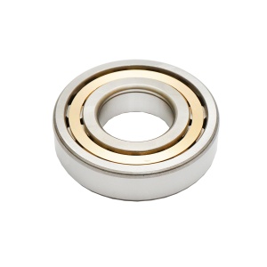 Rulment NUP309 - Img 2