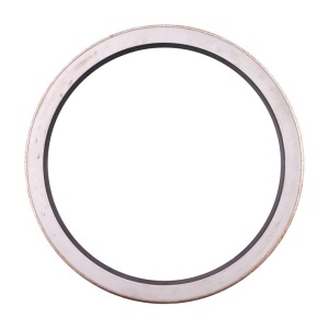 Simering 145x170x15 axa portanta RABA fi100