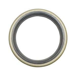 Simering stergator cilindru forta fi 100 (inel radere)