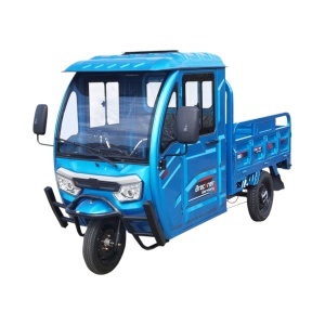 Triciclu electric BRECKNER GERMANY MAX ALBASTRU CU CABINA 2000W 72V 52AH