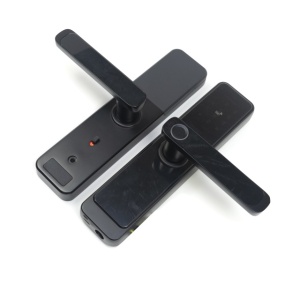 Yala inteligenta PNI SafeHome PTY6526, amprenta, cod, tag, aplicatie Tuya Smart, 100 utilizatori - Img 2
