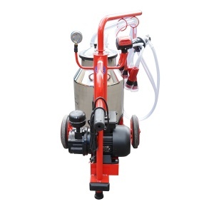 Aparat de muls vaci 1 post bidon 40L inox cu vid in cadru(vacuum) Breckner Germany - Img 5