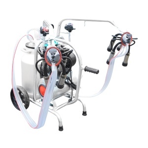 Aparat de muls vaci cu grup colector 160cc sasiu galvanizat bidon aluminiu 40L 2 posturi Breckner Germany - Img 6