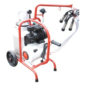 Aparat de muls vaci cu grup colector 160cc, sasiu vopsit electrostatic, bidon aluminiu 30L, 1 post Breckner Germany - Img 6
