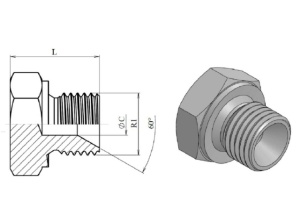 Dop BSP FE, cap hexagonal - Img 2