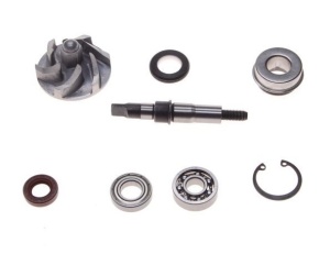 Kit reparatie pompa apa ATV 250cc