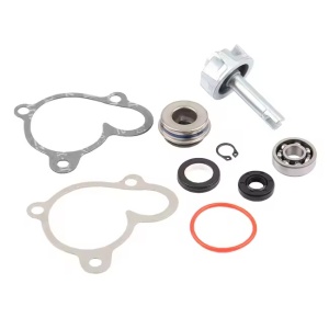 Kit reparatie pompa apa ATV Linhai 250-300cc