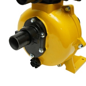 Pompa apa centrifuga autoamorsanta cu fulie dubla 4kW, 2 toli, debit 30 m3/h, adancime aspiratie 5m, inaltime pompare 56m pentru irigatii - Img 11