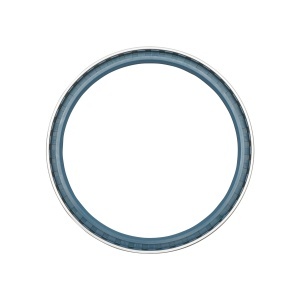 Simering roata fata 170x195x18mm Massey Ferguson OEM 3429037M1 - Img 2