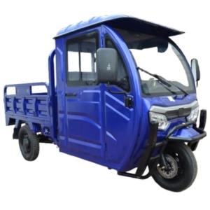 Triciclu electric AMR PLUS 2000W, 25km/h, CIV INCLUS, Fara permis