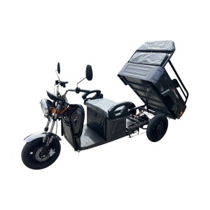 Triciclu electric BRECKNER GERMANY MODEL E GRI 1600W 60V 20AH - Img 2