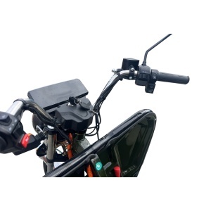 Triciclu electric BRECKNER GERMANY MODEL E VERDE 1600W 60V 20AH - Img 9