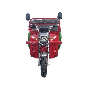 Triciclu electric RDB X-Klass4 PLUS, 3500W, Fara permis, 25 km/h