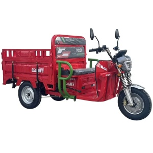 Triciclu electric RDB X-Klass4 PLUS, 3500W, Fara permis, 25 km/h