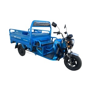 Triciclu electric Thor BAISAN 1800W 60V32Ah - Img 6