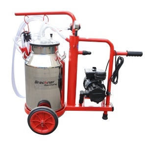 Aparat de muls vaci 1 post bidon 40L inox cu vid in cadru(vacuum) Breckner Germany - Img 2