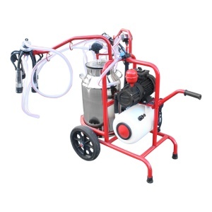 Aparat de muls vaci 2 posturi bidon 40L inox cu butelie, vacuum rezervor Breckner Germany - Img 4