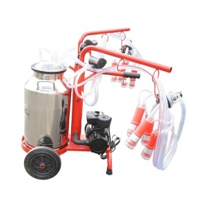 Aparat de muls vaci 2 posturi bidon 40L inox cu vid in cadru(vacuum) Breckner Germany - Img 3