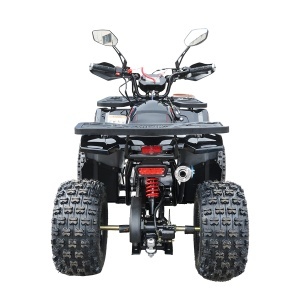 ATV 120cc, 7 CP, 4x2 cu pornire electrica HUNTER II - Img 4