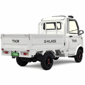 camioneta electrica