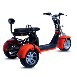 SCUTER ELECTRIC FARA PERMIS TKR