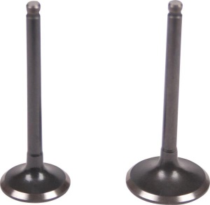 SET SUPAPE GY6 50