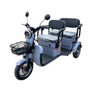 Triciclu electric BRECKNER TRAVEL gri 1000W 60V 20AH