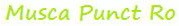Muste Artificiale Lucrate Manual