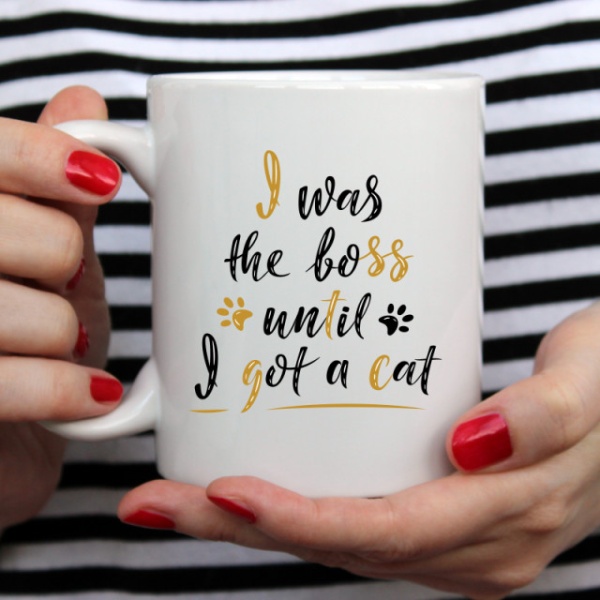 Cana cu Mesaj I Was The Boss Until I Got A Cat