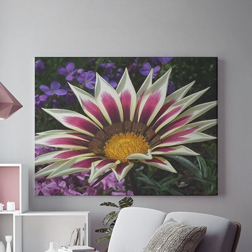 Tablou Canvas Dual Color