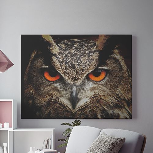 Tablou Canvas Wise Owl