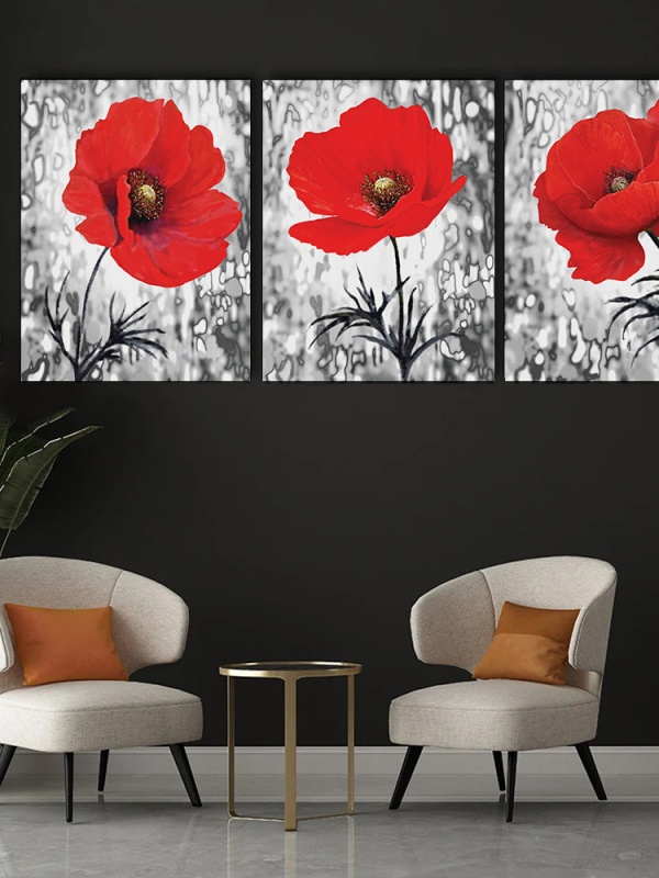 3 Tablouri Canvas - Set de maci rosii