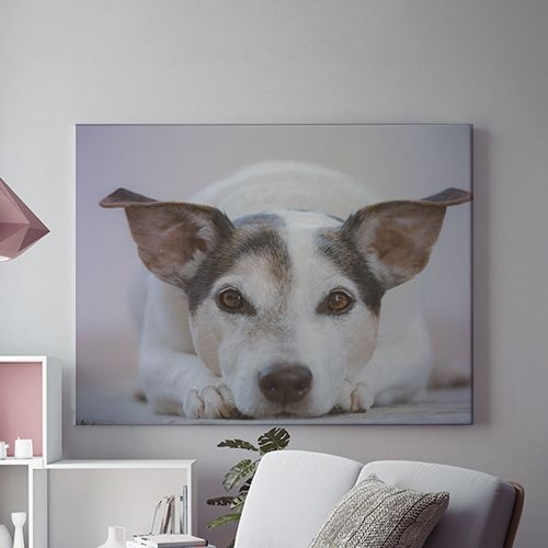 Tablou Canvas Look At Me