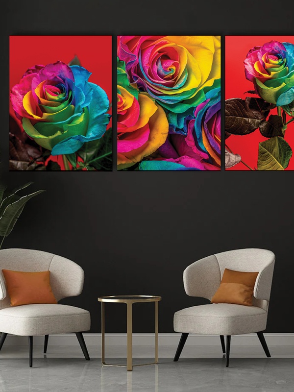 Set 3 Tablouri Canvas - Rainbow roses