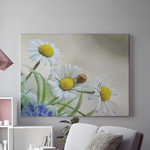 Tablou Canvas Gargarita