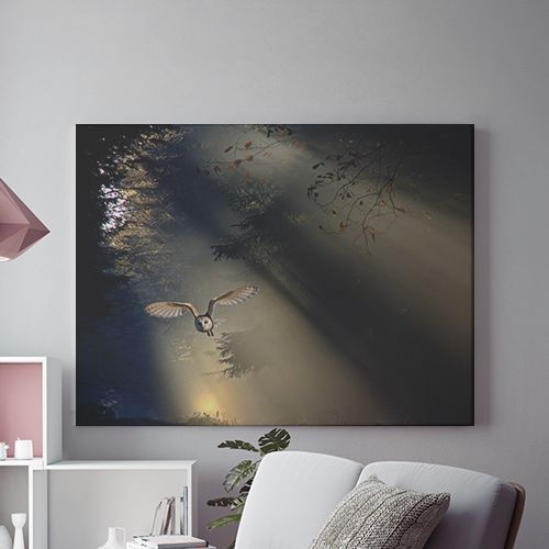 Tablou Canvas Bufnita In Zbor