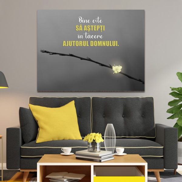 Tablou Inspirational - Sa astepti in tacere